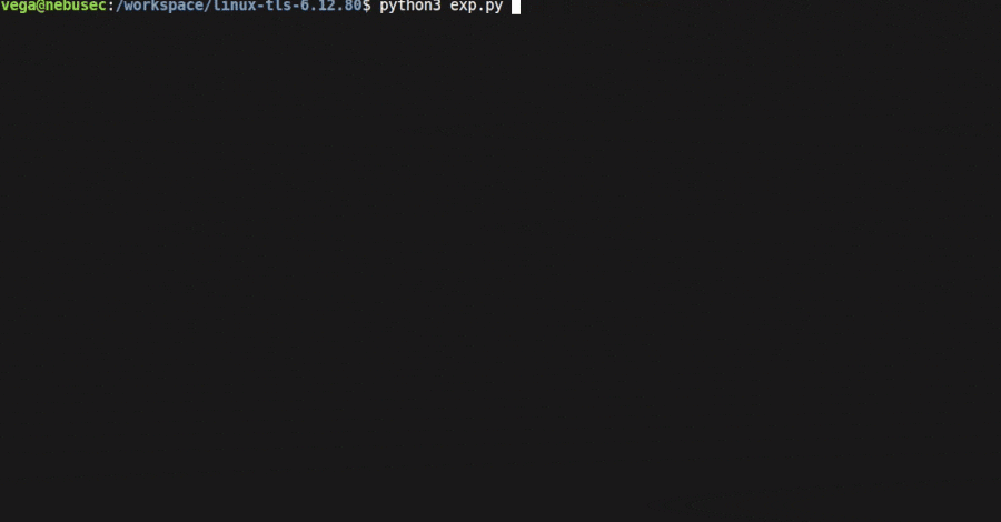 Пятнадцать лет дыра в ядре Linux ждала своего часа — и дождалась, когда её найдёт ИИ